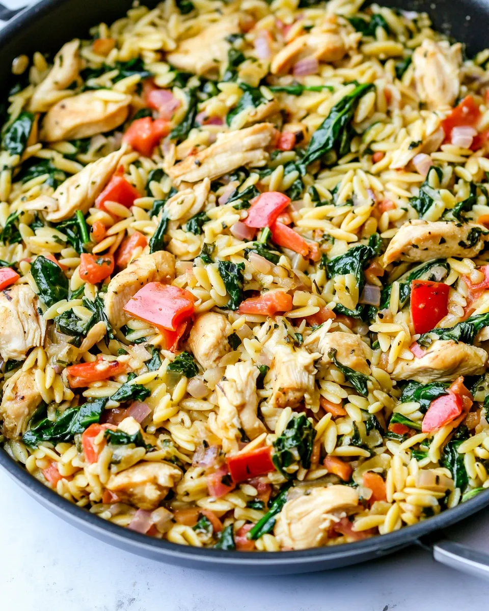 Classic One-Pan Chicken and Spinach Orzo dish photo