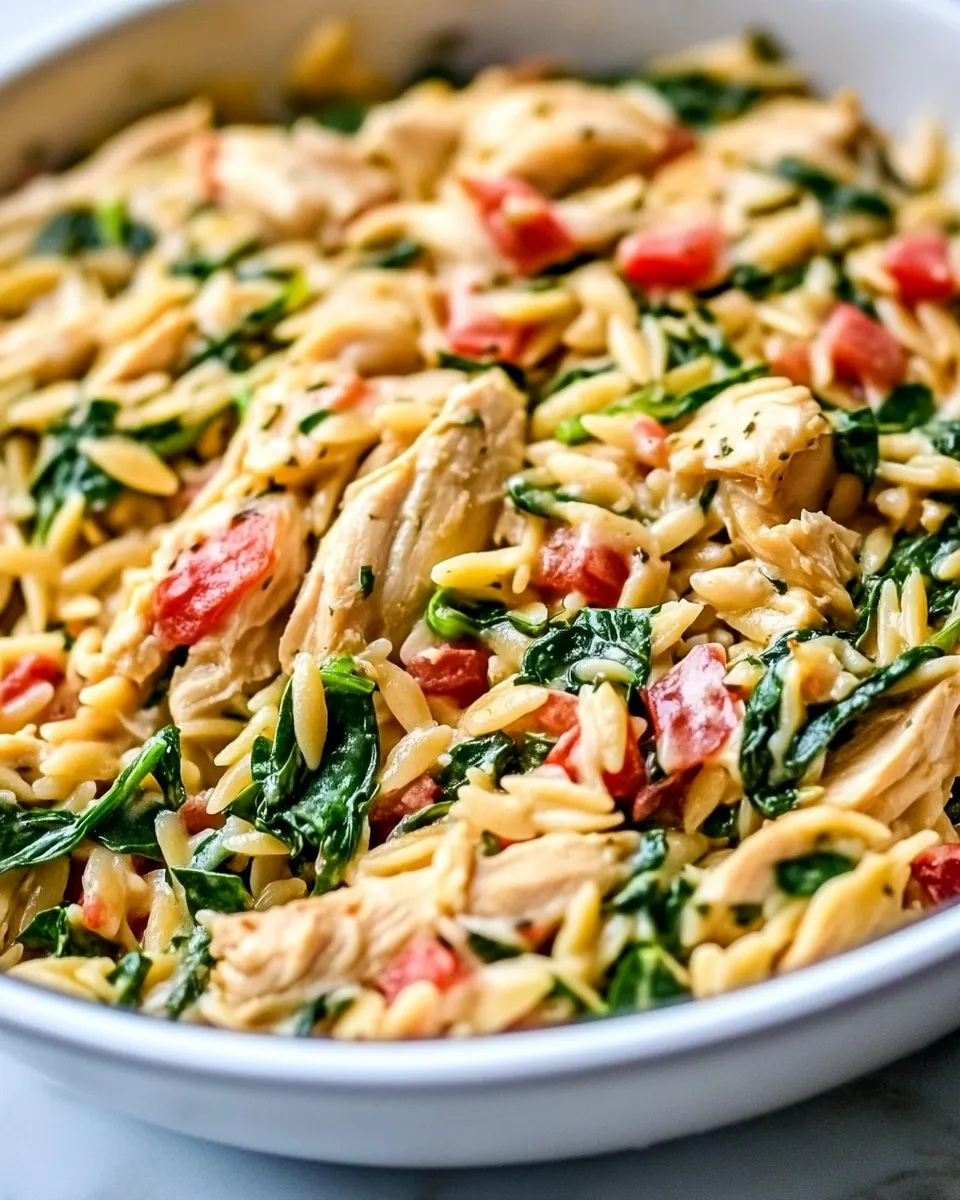 Easy One-Pan Chicken and Spinach Orzo food shot